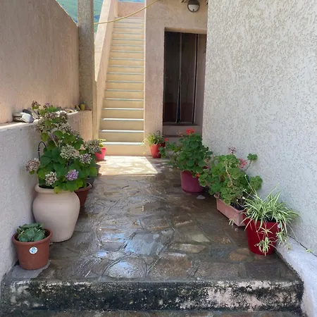 Maison De Leon * Sisco