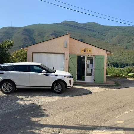 Maison De Léon Sisco