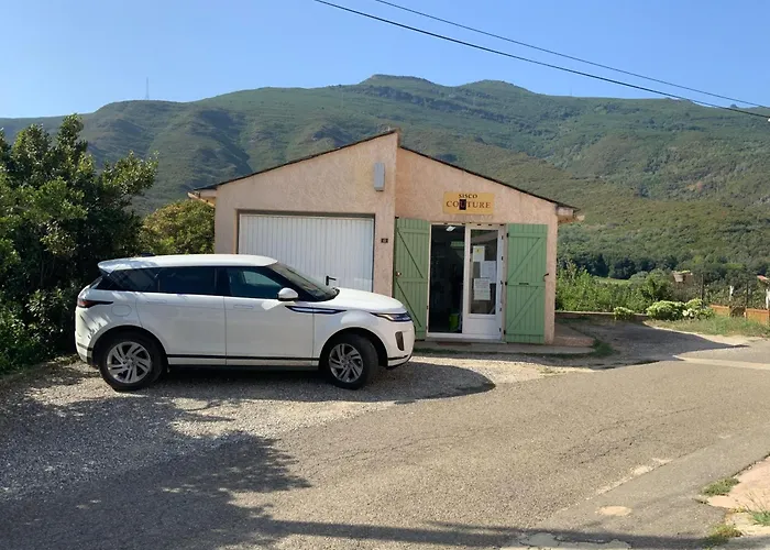 Maison De Leon Sisco